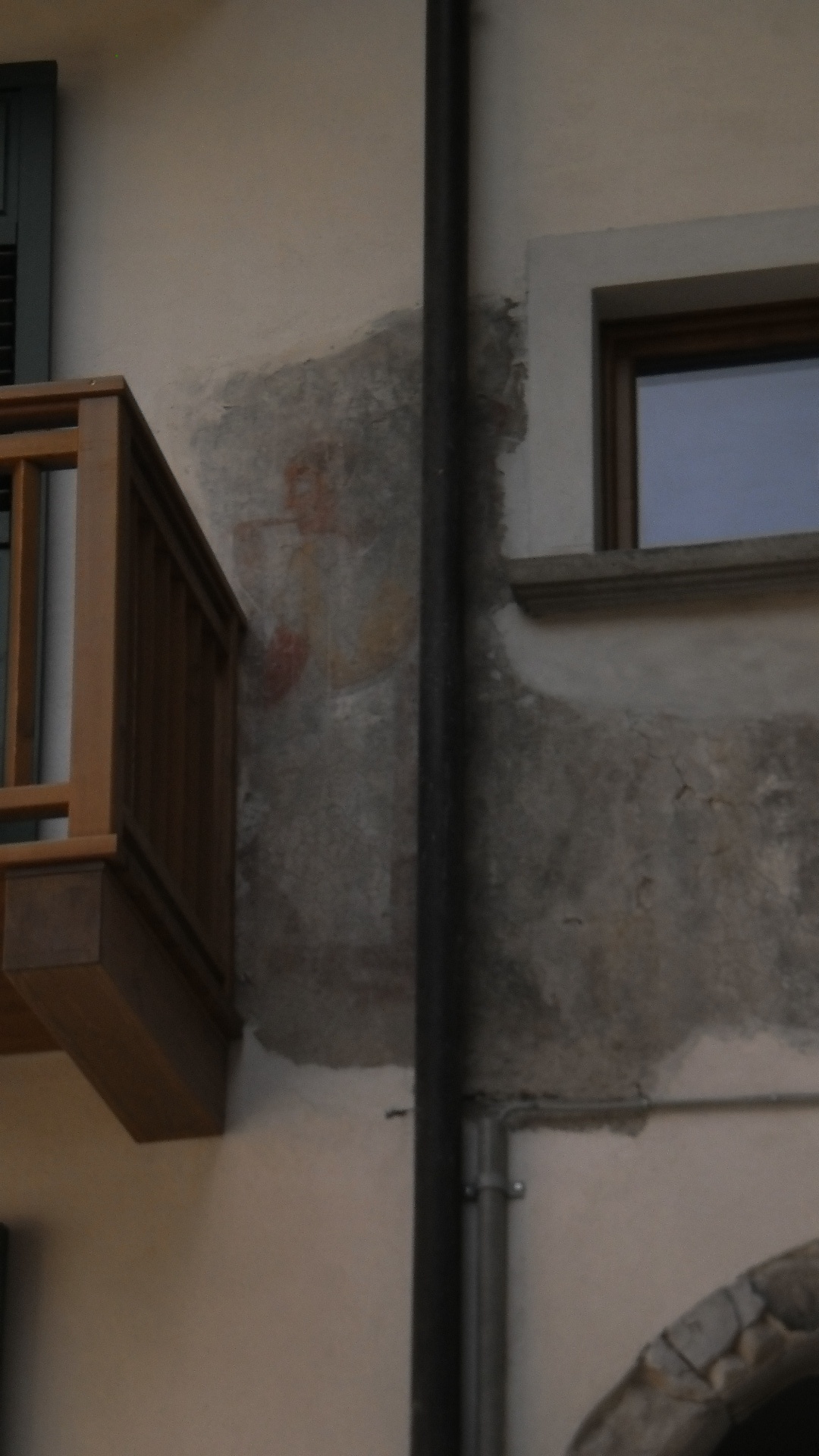 suocera con la lingua biforcuta piantata su di un cioc di legno